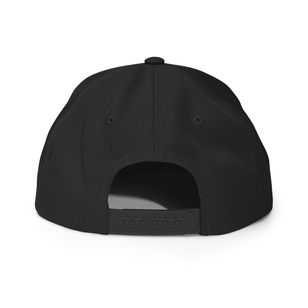 OIO | SOUND SNAPBACK HAT