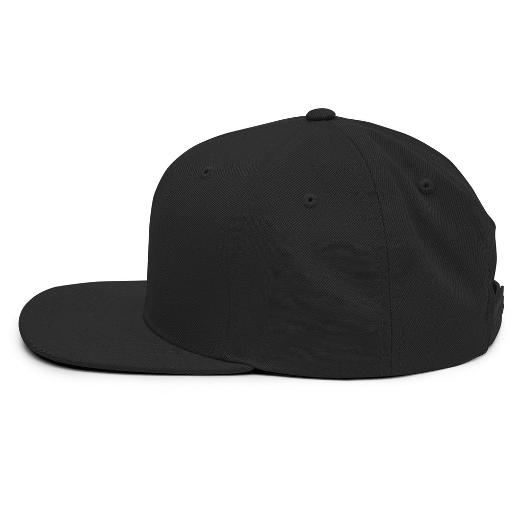 OIO | SOUND SNAPBACK HAT