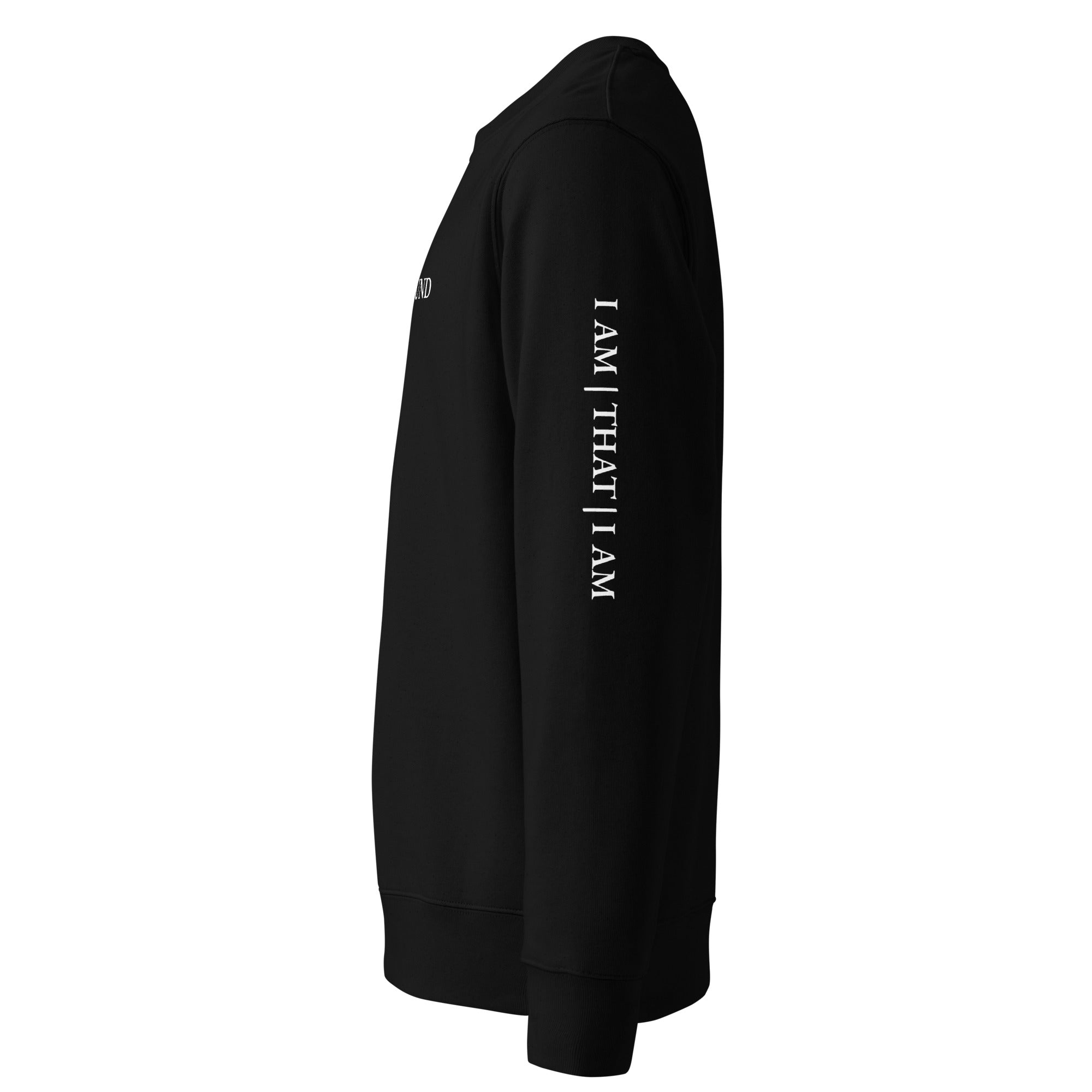 OIO | SOUND MENS SWEATSHIRT